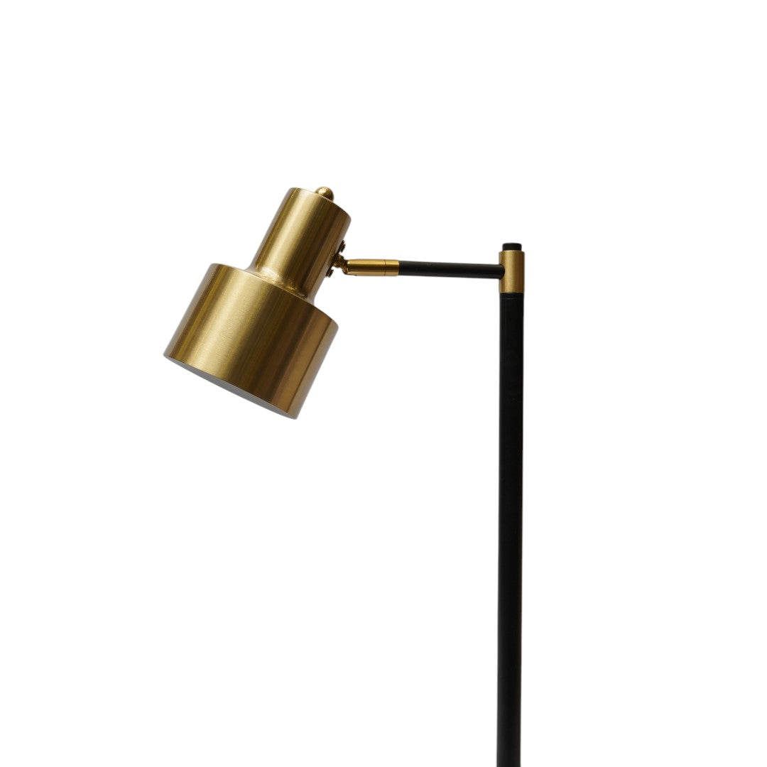 Prism Ray RGB LED Mood & Focus Study Table Lamp